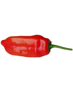 Aji Verde