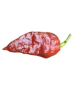 Bhut Jolokia Caramel