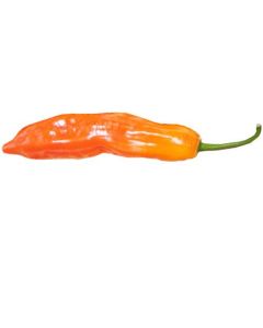 Aji Escabeche