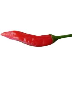 Aji Huanuco