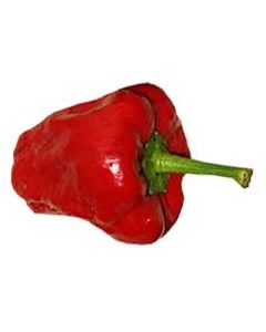 Kitchenpepper