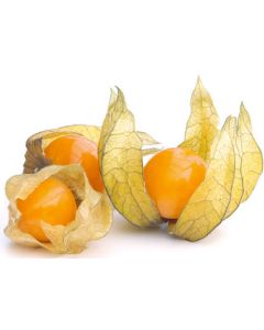Kapkrusbär - Physalis