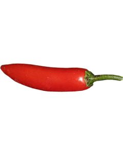 Serrano