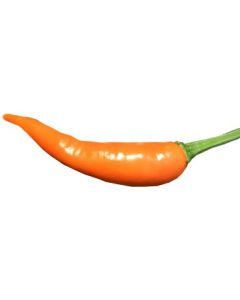 Bulgarian Carrot