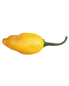 El Oro de Ecuador