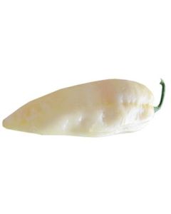 Fatalii White