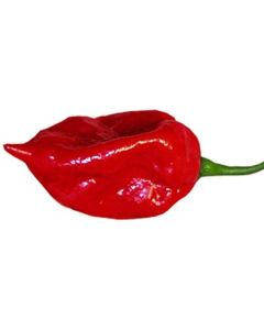 Fatalii Red