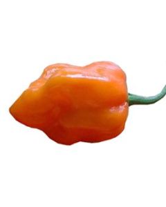 Habanero Pastel