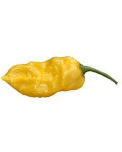 Habanero Lemon