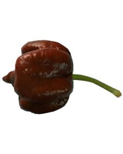 Trinidad Moruga Scorpion Chocolate