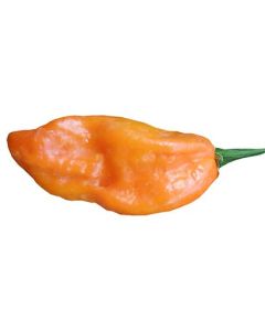 Habanero Naranja Picante