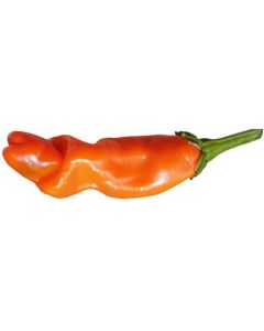 Peter Pepper Orange