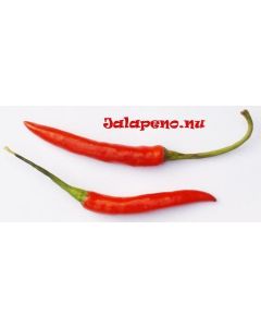 Thai Red Demon