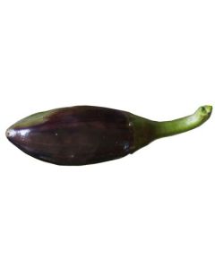 Serrano Purple