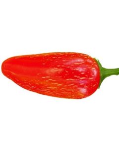 Jalapeno TAM