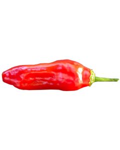 Aji Valle de Canca