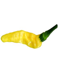 Aribibi Gusano King Size