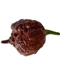 Carolina Reaper Chocolate