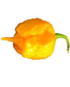 Carolina Reaper Yellow