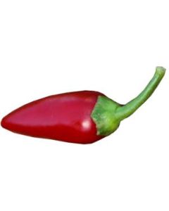 Cascabella