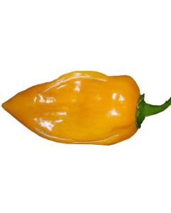 Habanero Manzano