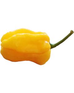 Habanero Tenziha Yellow