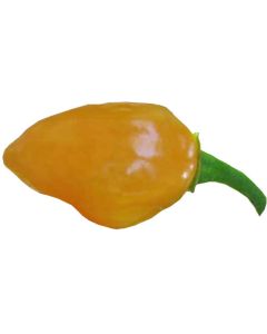 Habanero Tonga Orange