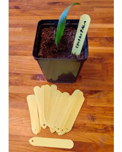 Etikettstickor - 25 styck