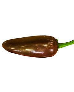 Jalapeno Brown
