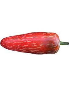 Jalapeno M