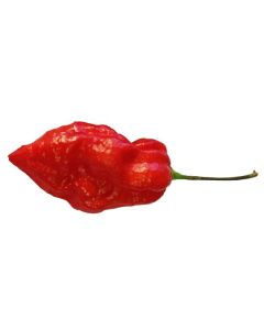 Naga Morich