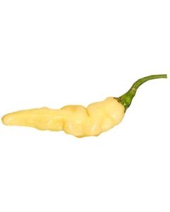 Murupi Amarela