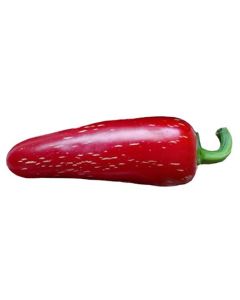 Jalapeno Numex Primavera