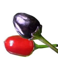 Peruvian Purple