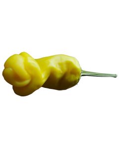 Peter Pepper Yellow