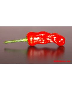 Peter Pepper Red