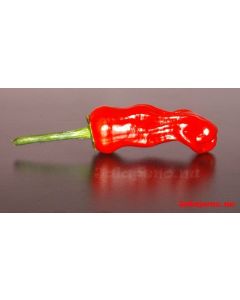 Peter Pepper