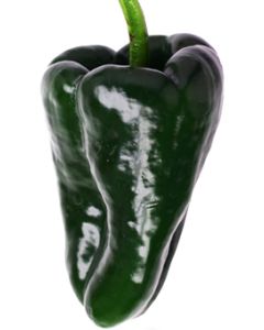 Poblano