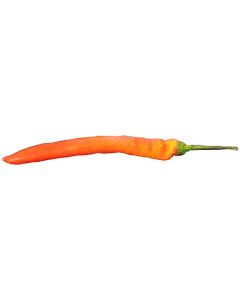 Spanish Pepper Orange