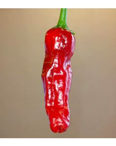 Tokuyama Pepper