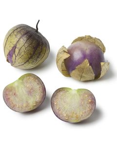 Tomatillo Purple